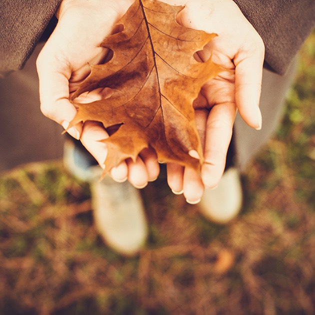 Open hands holding a fallen leaf top 10 funeral plans